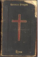 9962121.jpg