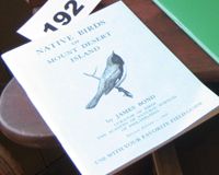 99623223.jpg