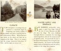 00174924-4.jpg