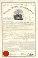 0080682-2.jpg