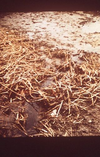 Oil and the Maine Coast Sierra Club Side Show