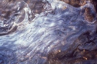 Oil and the Maine Coast Sierra Club Side Show