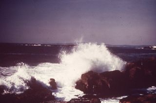 Oil and the Maine Coast Sierra Club Side Show