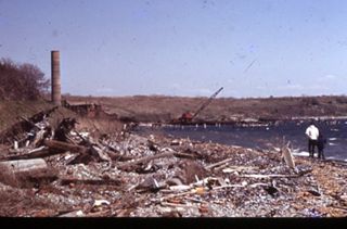 Debris on beach