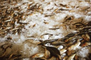 Sierra Club Oil Slide Show