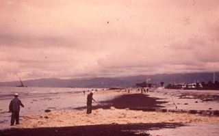 Oil and the Maine Coast Sierra Club Side Show