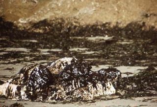 Sierra Club Oil Slide Show