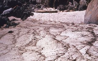 A Question of Harmony Slide Show