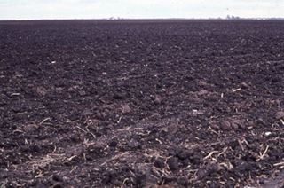 Plowed field