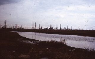 Salt Marsh