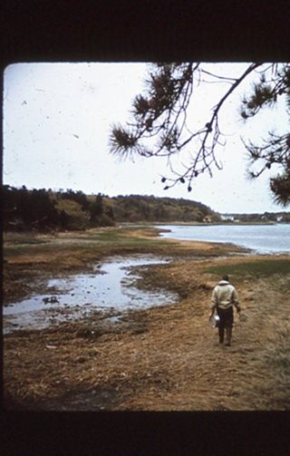 Person walking across a tidal marsh