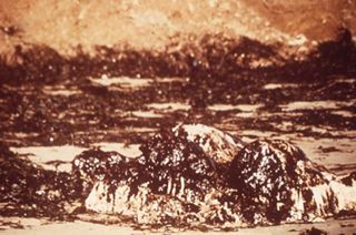 Oil and the Maine Coast Sierra Club Side Show