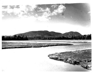 Bass Harbor Marsh by LaRue Spiker