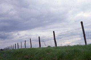 Wire Fence