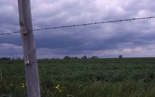 Looking though a Fence