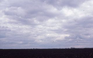 Cloudy Sky