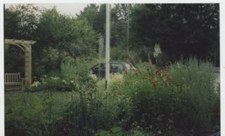 MDI Historical Society Garden