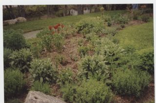 MDI Historical Society Garden