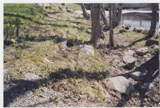 MDI Historical Society Garden