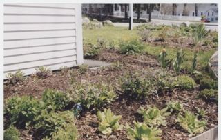 MDI Historical Society Garden