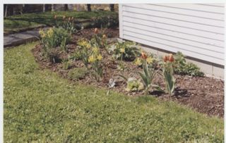 MDI Historical Society Garden