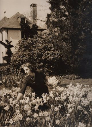 Betty Moore gathering daffodils in garden