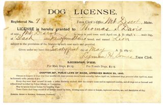Dog License