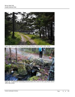 67decbcea2d254.52803632.pdf page 76