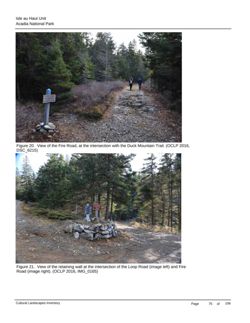 67decbcea2d254.52803632.pdf page 77