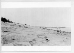 67deccbd6de865.68245415.pdf page 77