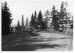 67deccbd6de865.68245415.pdf page 103