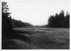 67deccbd6de865.68245415.pdf page 109