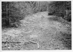 67deccbd6de865.68245415.pdf page 115