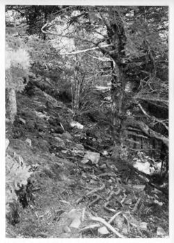 67deccbd6de865.68245415.pdf page 123