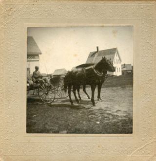 horse drawn buggy