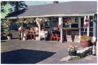 Hopkins store in the summer.