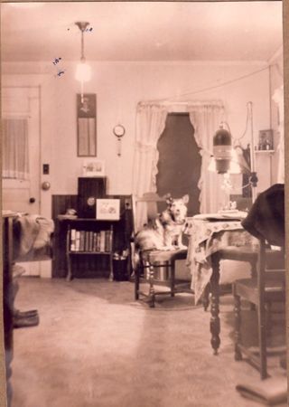 living room of Will & Gert Gott?
