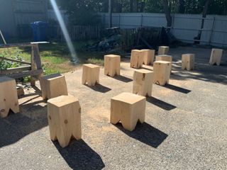 White pine stools