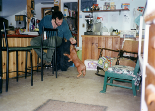 Album: <strong>The Islesford Market </strong>{ 1996 - 2000 }