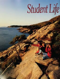 682cb3a53f8ad8.93300663.pdf page 38