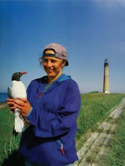 682cb3a53f8ad8.93300663.pdf page 49