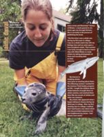 682cc8447d7cf1.00729096.pdf page 10