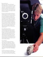 682cd04a3d40b3.66347800.pdf page 13