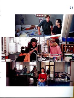 682cd04a3d40b3.66347800.pdf page 31