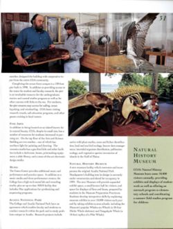 682cd1c94fc9d4.99837090.pdf page 42