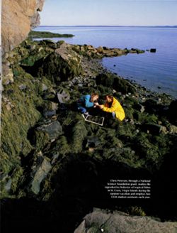 682cd30a2080f4.27090508.pdf page 33