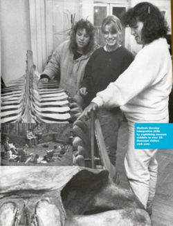 682dc3d99ec949.02659568.pdf page 43