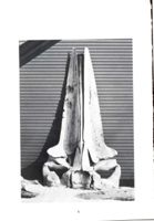 682dca514098e6.29122969.pdf page 10
