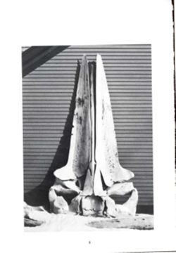 682dca514098e6.29122969.pdf page 10