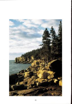 682dca514098e6.29122969.pdf page 32